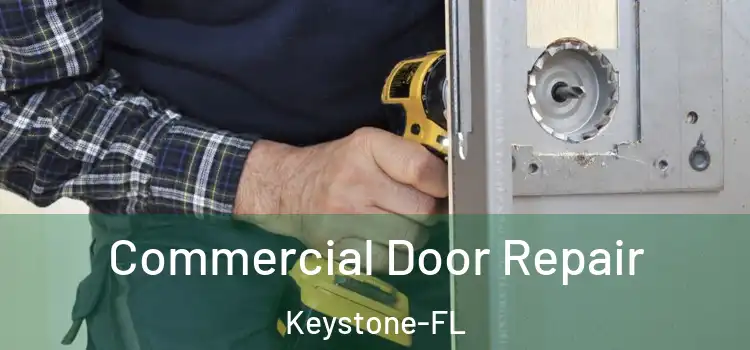  Commercial Door Repair Keystone-FL