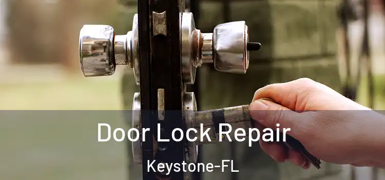  Door Lock Repair Keystone-FL