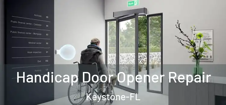 Handicap Door Opener Repair Keystone-FL