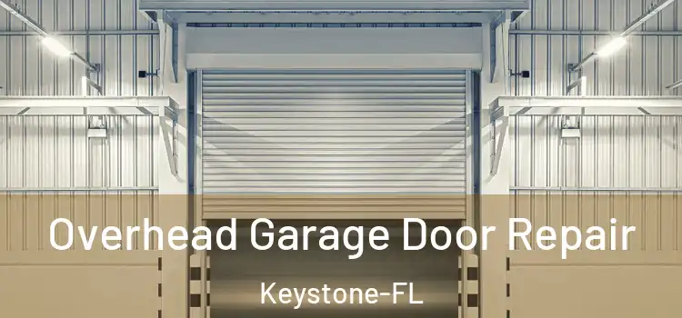 Overhead Garage Door Repair Keystone-FL