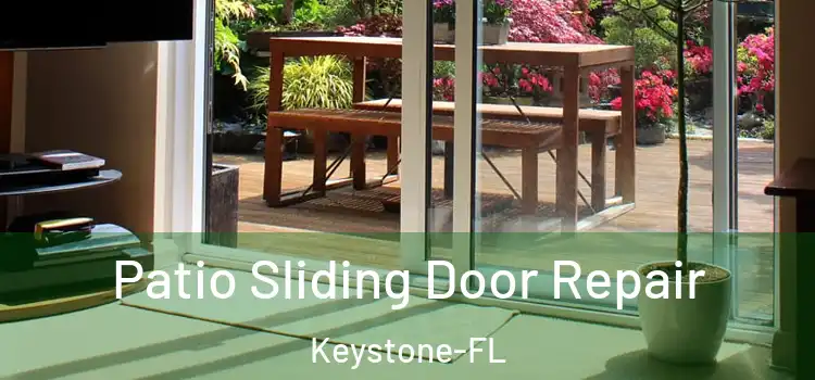  Patio Sliding Door Repair Keystone-FL