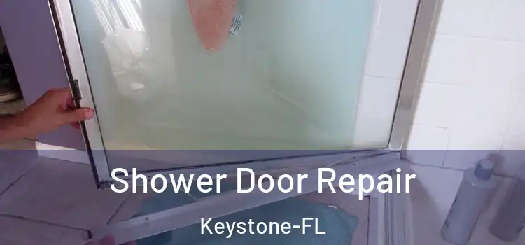  Shower Door Repair Keystone-FL