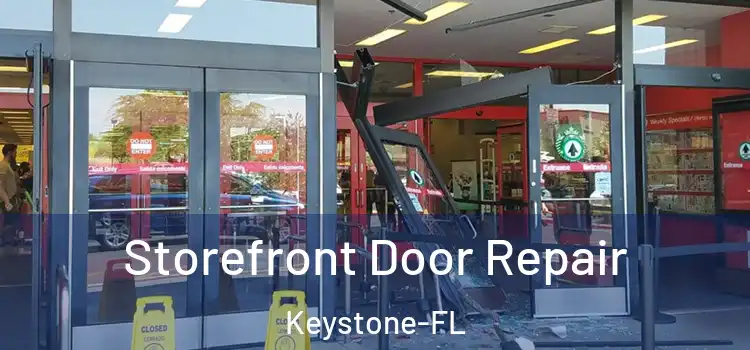 Storefront Door Repair Keystone-FL