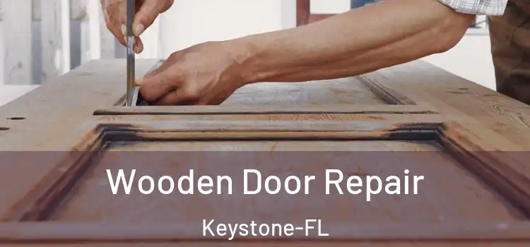 Wooden Door Repair Keystone-FL